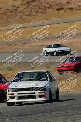 media/Feb-22-2025-Team Topak Racing (Sat) [[cb57a51a40]]/86 Party Brigade/Turns 13 and 14/